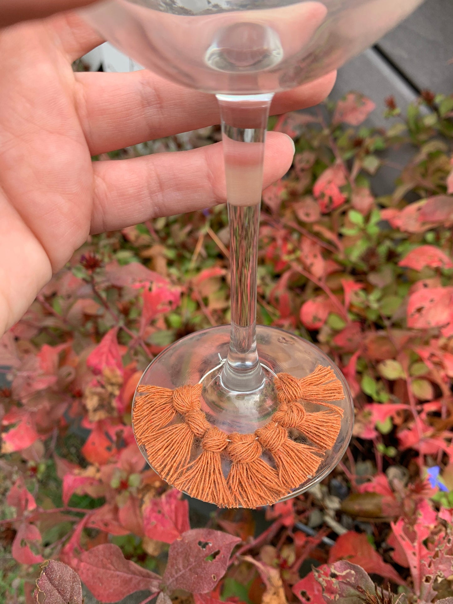 fringe wine glass charms